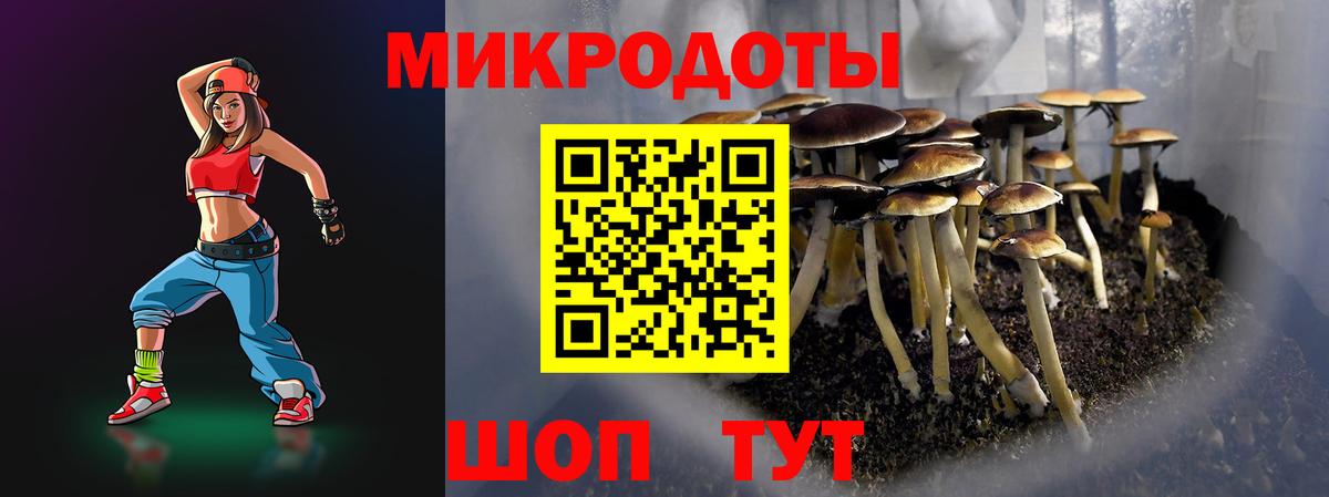 Псилоцибиновые грибы Cubensis  Галлюциногенные грибы MAGIC MUSHROOMS  сколько стоит  Ейск  Вход с VPN 